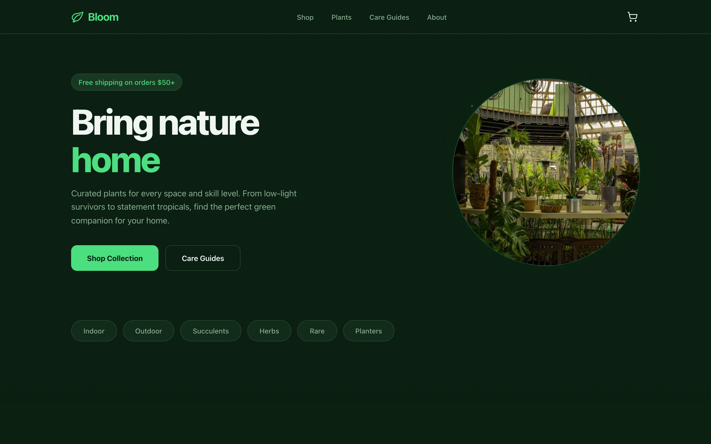 Bloom, Plant and garden shop